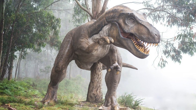 Kematian dinosaurus yang tragis dilaporkan karena debu asteroid Kematian dinosaurus yang tragis dilaporkan karena debu asteroid